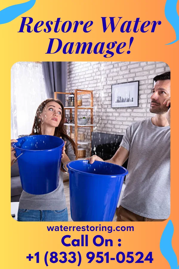 water restoration Elite Water Cleanup Pros New Vienna
