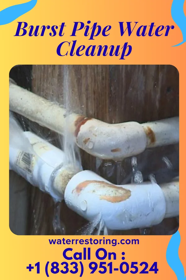 Burst Pipe Water Cleanup in New Vienna, OH