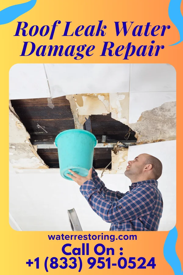 Roof Leak Water Damage Repair in New Vienna, OH