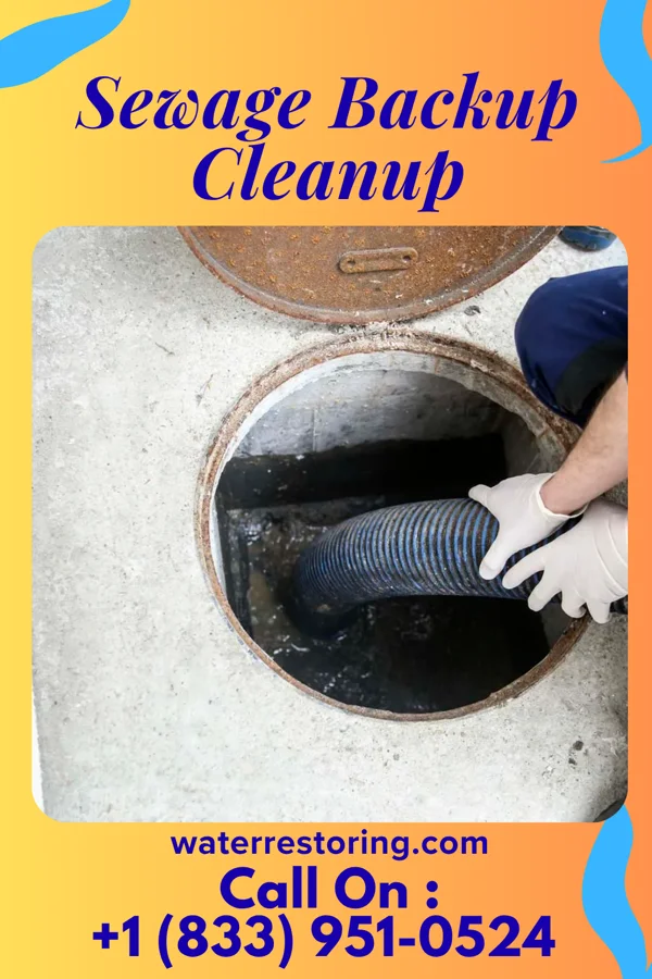 Sewage Backup Cleanup in New Vienna, OH