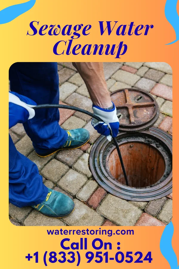 Sewage Water Cleanup in New Vienna, OH