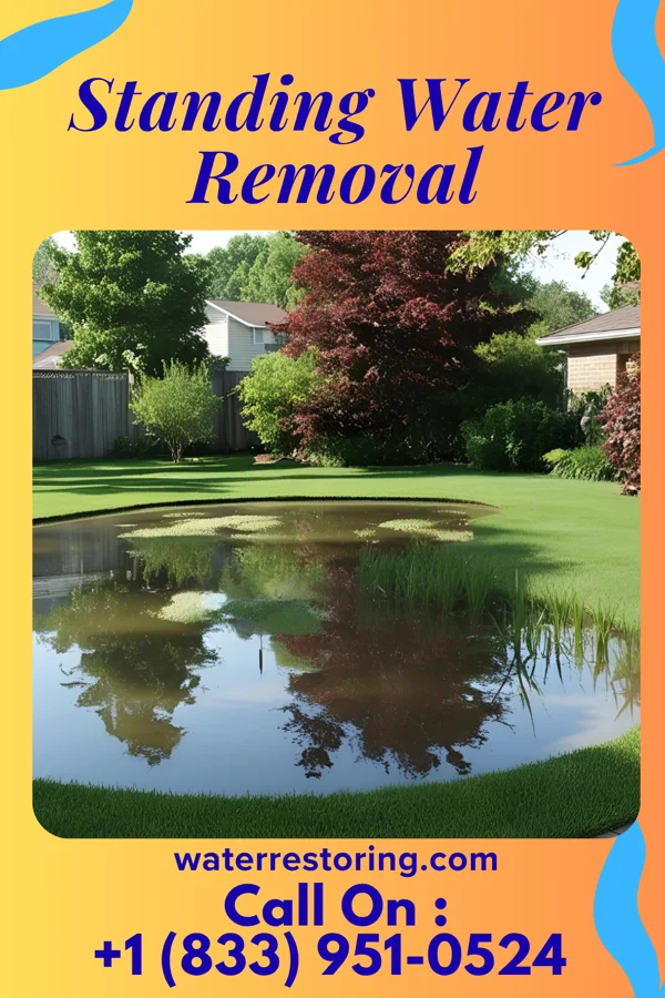 Standing Water Removal in New Vienna, OH